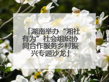 湖南举办“湘社有为”社会组织协同合作服务乡村振兴专题沙龙