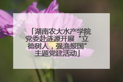 湖南农大水产学院党委赴涟源开展“立德树人，强渔报国”主题党建活动