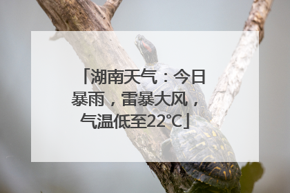 湖南天气：今日暴雨，雷暴大风，气温低至22℃