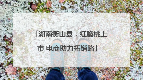 湖南衡山县：红脆桃上市 电商助力拓销路