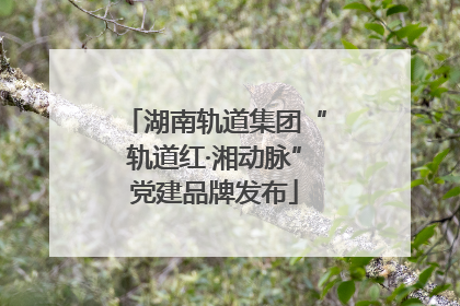 湖南轨道集团“轨道红·湘动脉”党建品牌发布