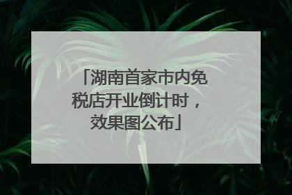 湖南首家市内免税店开业倒计时，效果图公布