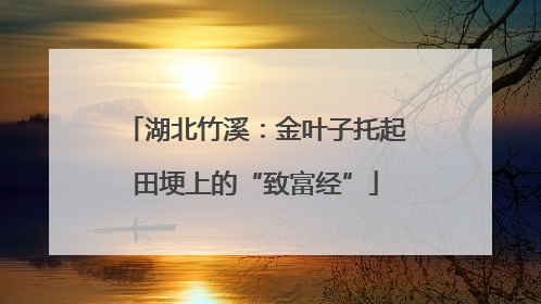 湖北竹溪：金叶子托起田埂上的“致富经”