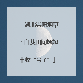 湖北崇阳烟草：白芨田间扬起丰收“号子”