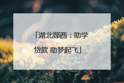 湖北郧西：助学贷款 助梦起飞