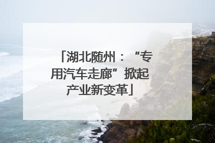 湖北随州：“专用汽车走廊”掀起产业新变革