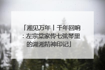湘见万年丨千年回响：左宗棠家传七弦琴里的湖湘精神印记