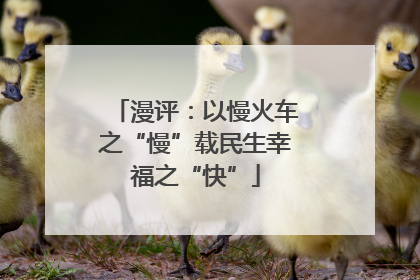 漫评：以慢火车之“慢”载民生幸福之“快”