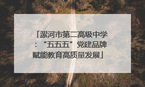 漯河市第二高级中学：“五五五”党建品牌赋能教育高质量发展