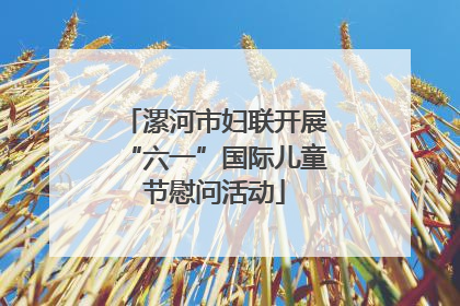 漯河市妇联开展“六一”国际儿童节慰问活动