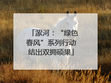 漯河：“绿色春风”系列行动结出双拥硕果