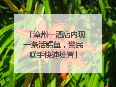 漳州一酒店内现一条活鳄鱼，警民联手快速处置