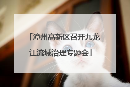 漳州高新区召开九龙江流域治理专题会