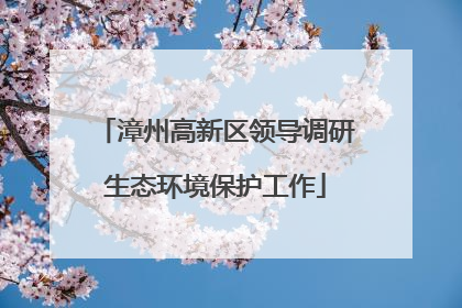 漳州高新区领导调研生态环境保护工作