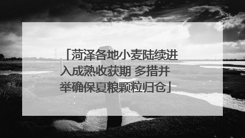菏泽各地小麦陆续进入成熟收获期 多措并举确保夏粮颗粒归仓
