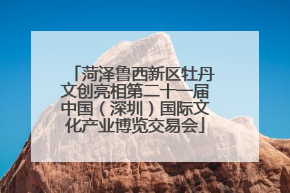 菏泽鲁西新区牡丹文创亮相第二十一届中国（深圳）国际文化产业博览交易会
