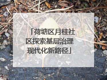 荷塘区月桂社区探索基层治理现代化新路径