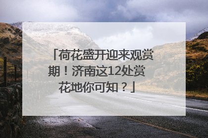 荷花盛开迎来观赏期！济南这12处赏花地你可知？