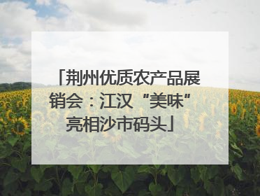 荆州优质农产品展销会：江汉“美味”亮相沙市码头
