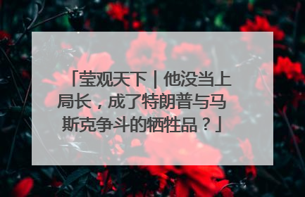 莹观天下｜他没当上局长，成了特朗普与马斯克争斗的牺牲品？
