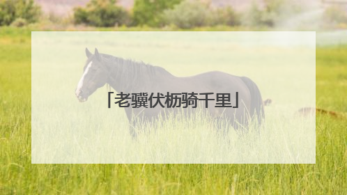 老骥伏枥骑千里