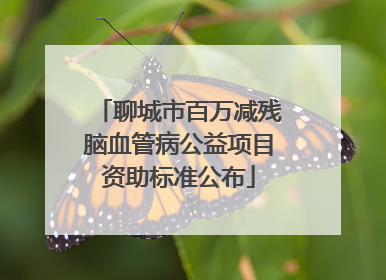 聊城市百万减残脑血管病公益项目资助标准公布