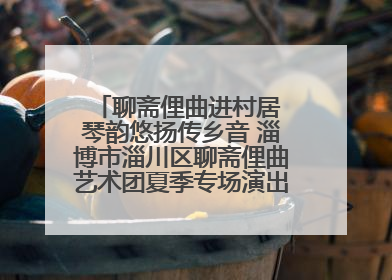 聊斋俚曲进村居 琴韵悠扬传乡音 淄博市淄川区聊斋俚曲艺术团夏季专场演出在杏园子村举行