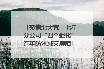 聚焦北大荒｜七星分公司“四个强化”筑牢防汛减灾屏障