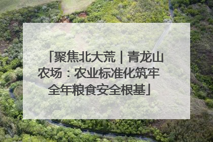 聚焦北大荒｜青龙山农场：农业标准化筑牢全年粮食安全根基