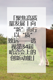 聚焦高质量发展丨向“新”而行 以“质”致远——透视第34届哈洽会上的创新动能