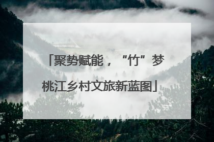 聚势赋能，“竹”梦桃江乡村文旅新蓝图