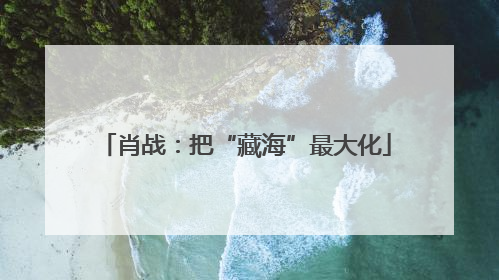 肖战：把“藏海”最大化