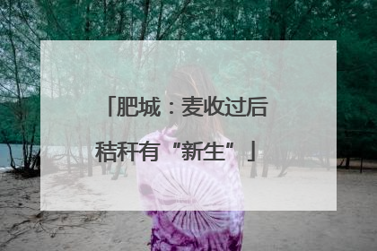 肥城：麦收过后秸秆有“新生”