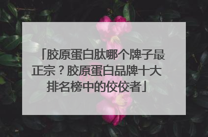 胶原蛋白肽哪个牌子最正宗？胶原蛋白品牌十大排名榜中的佼佼者