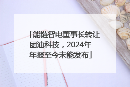 能链智电董事长转让团油科技,2024年年报至今未能发布