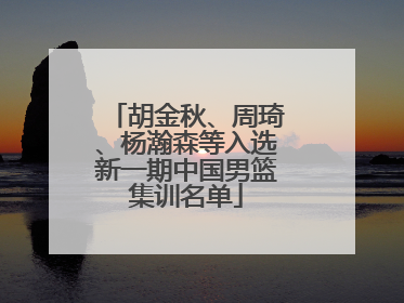 胡金秋、周琦、杨瀚森等入选新一期中国男篮集训名单