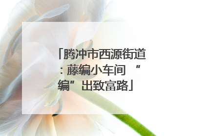 腾冲市西源街道：藤编小车间 “编”出致富路