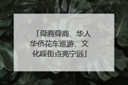 舜裔舜商、华人华侨花车巡游、文化踩街点亮宁远