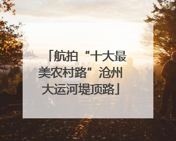 航拍“十大最美农村路”沧州大运河堤顶路