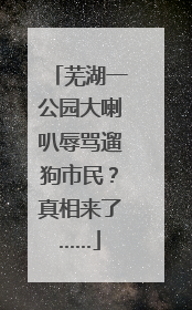 芜湖一公园大喇叭辱骂遛狗市民？真相来了……