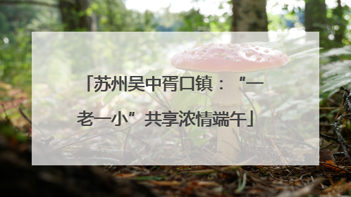 苏州吴中胥口镇：“一老一小”共享浓情端午