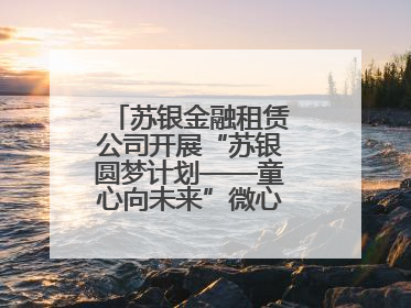 苏银金融租赁公司开展“苏银圆梦计划——童心向未来”微心愿捐赠活动