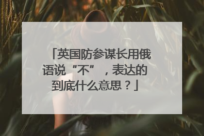 英国防参谋长用俄语说“不”，表达的到底什么意思？