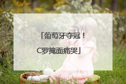 葡萄牙夺冠！C罗掩面痛哭