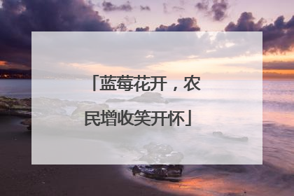 蓝莓花开，农民增收笑开怀