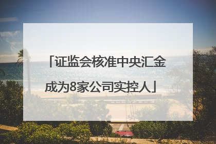 证监会核准中央汇金成为8家公司实控人