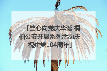 警心向党庆华诞 桐柏公安开展系列活动庆祝建党104周年