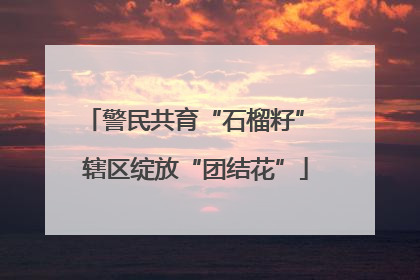 警民共育“石榴籽” 辖区绽放“团结花”