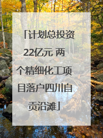 计划总投资22亿元 两个精细化工项目落户四川自贡沿滩