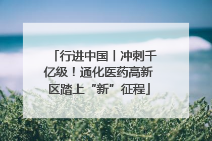行进中国丨冲刺千亿级！通化医药高新区踏上“新”征程